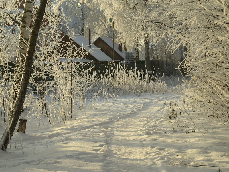 Фотография